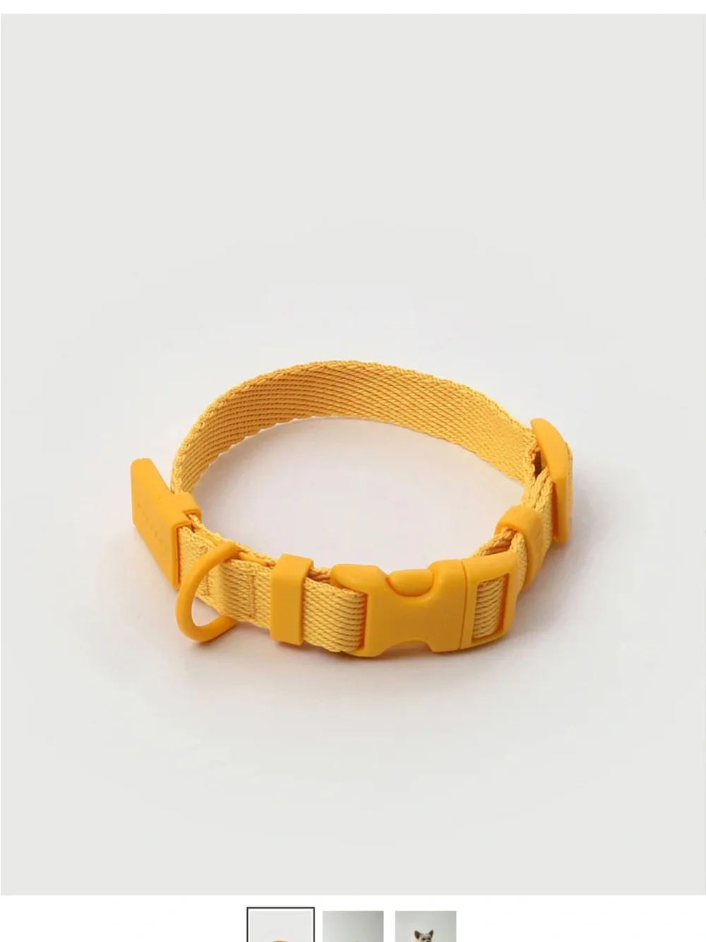 MACARON Yellow and White Pet Collar Packaging